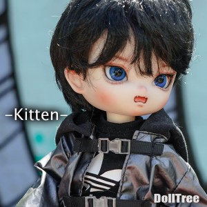 Kitten